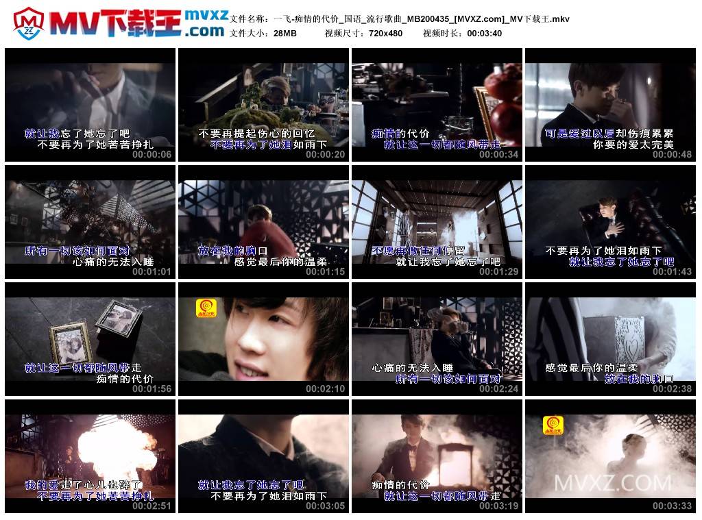 一飞-痴情的代价_国语_流行歌曲_MB200435